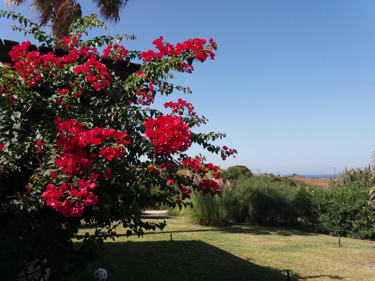 Villa Kos Мастрихари Екстериор снимка