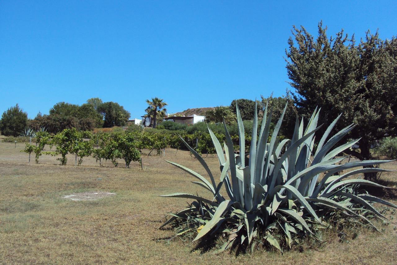 Villa Kos Мастрихари Екстериор снимка