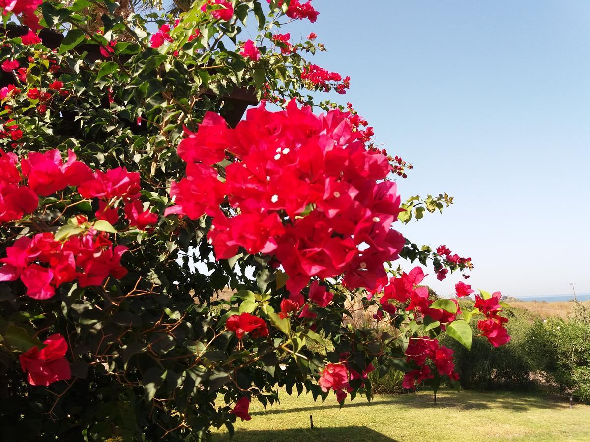 Villa Kos Мастрихари Екстериор снимка